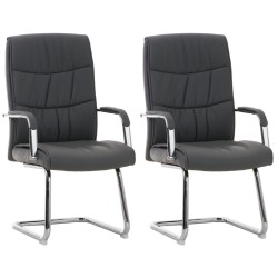 Juego de 2 sillas Caro, grises