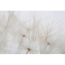 Lámina decorativa enmarcada – 80x120 cm – Diseño Glamour Contemporáneo