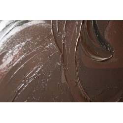 Cuadro decorativo Lady Jungle – Modelo B – 80x120 cm – Retrato artístico bohemio de la selva