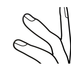 Decoración de pared Simply Face – 50x61 cm – Panel de pared bohemio minimalista y expresivo