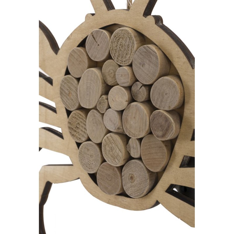 Cangrejo natural colgante – Originalidad marina (35 x 2 x 31 cm)