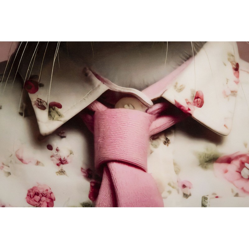 Cuadro lacado con marco, CONEJO CON CORNILLA – Originalidad y estilo (62,5 x 2,8 x 62,5 cm)