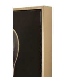 Arte mural lacado con marco BULLY C/CORNICE – Modernidad y refinamiento (62 x 4 x 82 cm)