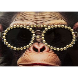 Cuadro mural de MONO lacado – Originalidad artística impresionante (52,5 x 2,8 x 72,5 cm)