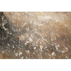 Pintura al óleo de oliva C – Lujo y autenticidad artística (120 x 3,8 x 80 cm)