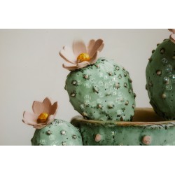 Impresión sobre lienzo lacado, motivo de cactus C – Elegancia botánica en miniatura (40 x 2,8 x 40 cm)