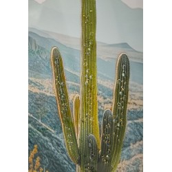 Lienzo lacado Cactus L – Frescura artística en la pared (60 x 4 x 90 cm)
