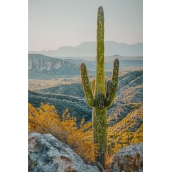 Lienzo lacado Cactus L – Frescura artística en la pared (60 x 4 x 90 cm)