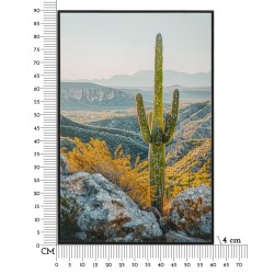 Lienzo lacado Cactus L – Frescura artística en la pared (60 x 4 x 90 cm)