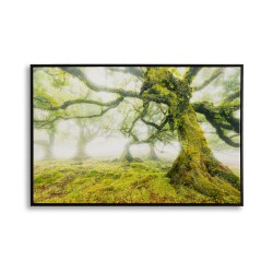 Impresión sobre lienzo lacado Bosque – Naturaleza y profundidad en tus paredes (90 x 4 x 60 cm)