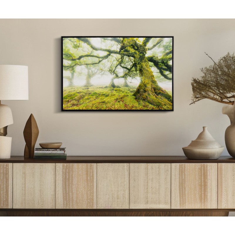 Impresión sobre lienzo lacado Bosque – Naturaleza y profundidad en tus paredes (90 x 4 x 60 cm)