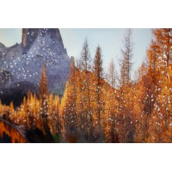 Impresión sobre lienzo lacado Lago – Serenidad y modernidad (90 x 4 x 60 cm)