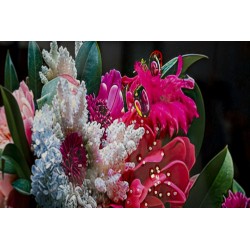 Lienzo lacado Moira B – Elegancia y diseño modernos (52 x 4 x 102 cm)