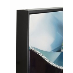 Pintura sobre lienzo lacado PAM B – Elegancia y estilo mural (62 x 4 x 92 cm)