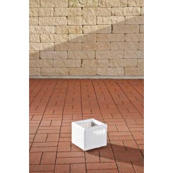 Macetas blancas de Laura S