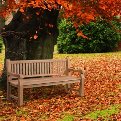 Banco de teca Jackson V2 de 180 cm