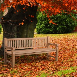 Banco de teca Jackson V2 de 200 cm