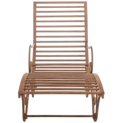 Chaise longue de jardín marrón antiguo de Amiens