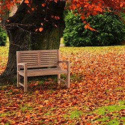 Banco Halden de teca de 120 cm con funda de teca