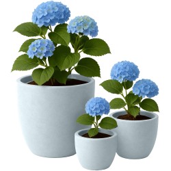 Juego de 3 macetas, 1 gris