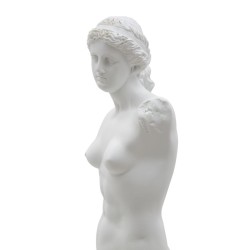 Estatua esbelta de una mujer soberana – 14 x 12 x 49 cm
