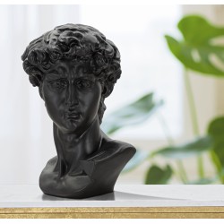 Coloso de cabeza negra, Espíritu monumental del tiempo – 44 x 35,5 x 60 cm