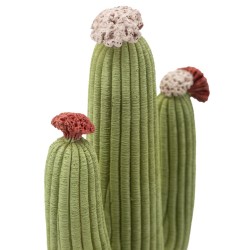CACTUS CM 16.5X11X45