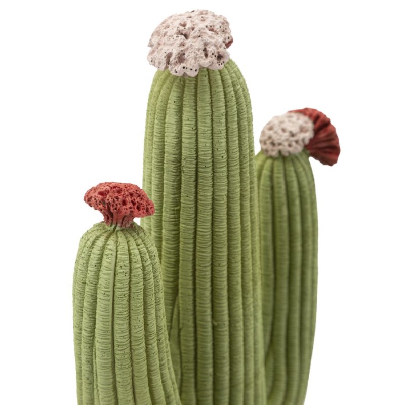 CACTUS CM 16.5X11X45