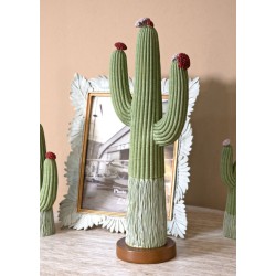 CACTUS CM 16.5X11X45