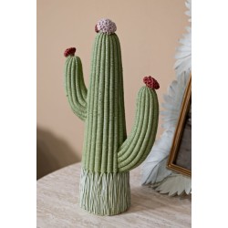 CACTUS CM 13X7X25