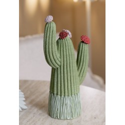 CACTUS CM 10.5X6.5X20.5